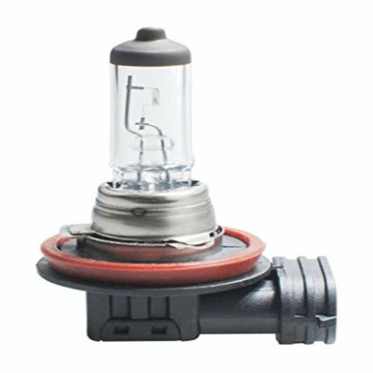 Halogen Bulb M-Tech Z64-0